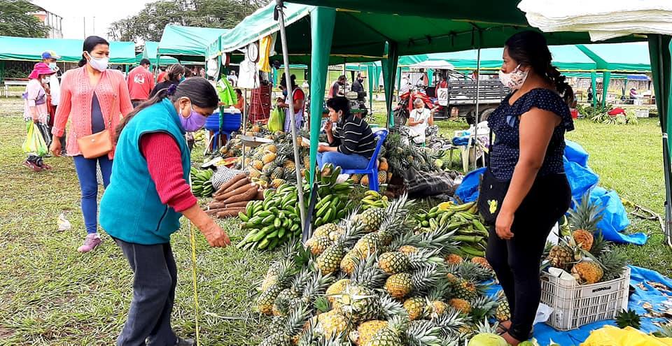 36 organizaciones de Madre de Dios ganan fondo de 7 millones de soles de Procompite