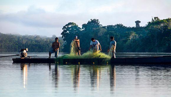 El lago Valencia está a unos 60 km de Puerto Maldonado. Para llegar ahí se necesitan tres horas en deslizador por los meandros del río Madre de Dios. (Foto: Flor Ruiz)