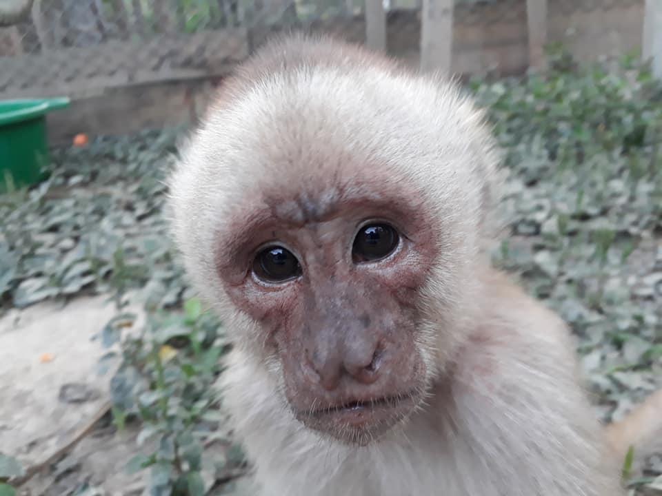 Foto: Serpentario Tambopata.