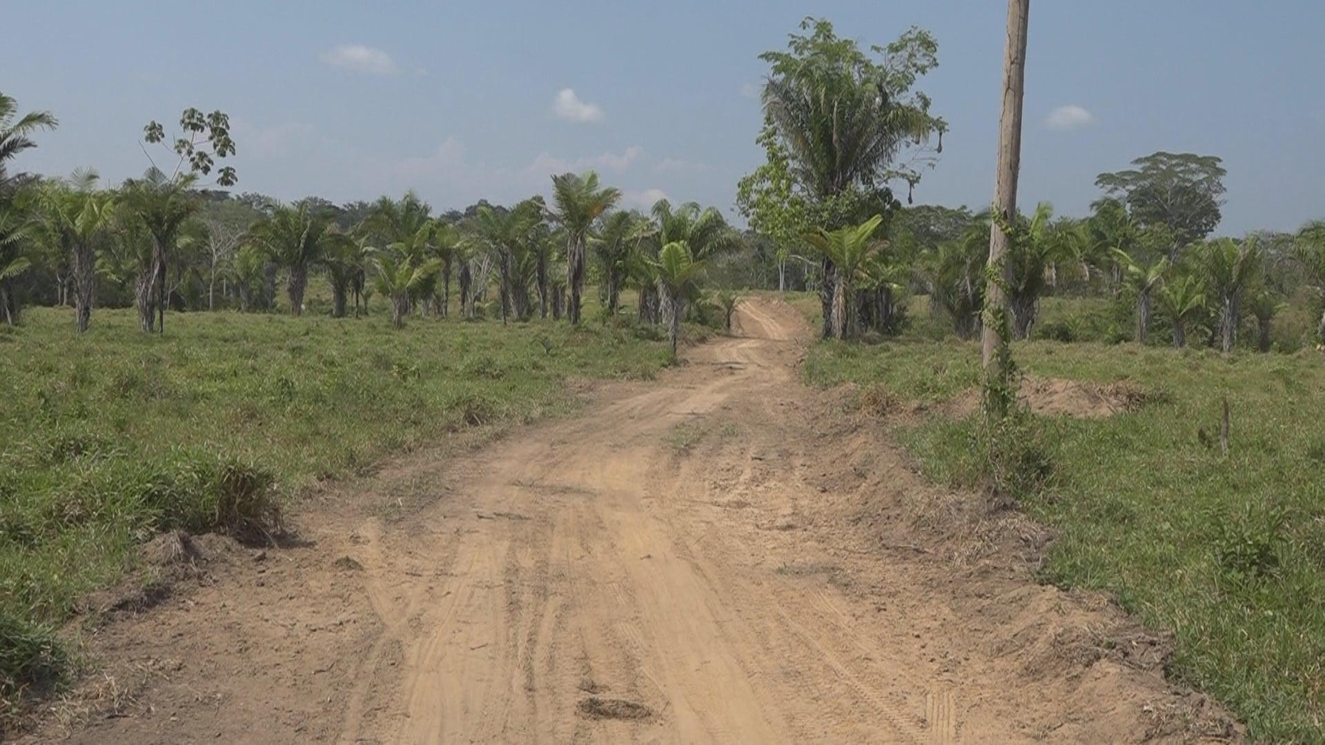 Foto: Municipalidad Provincial de Tambopata.