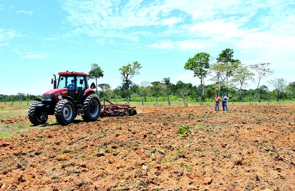 Foto: Agricultura Madre de Dios.