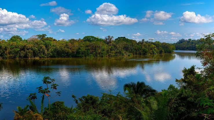 La Reserva Nacional de Tambopata reabre sus puertas con protocolos para prevenir el COVID-19