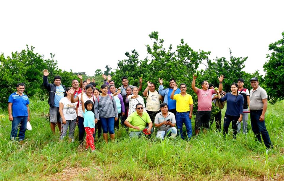 Foto: Agricultura Madre de Dios.
