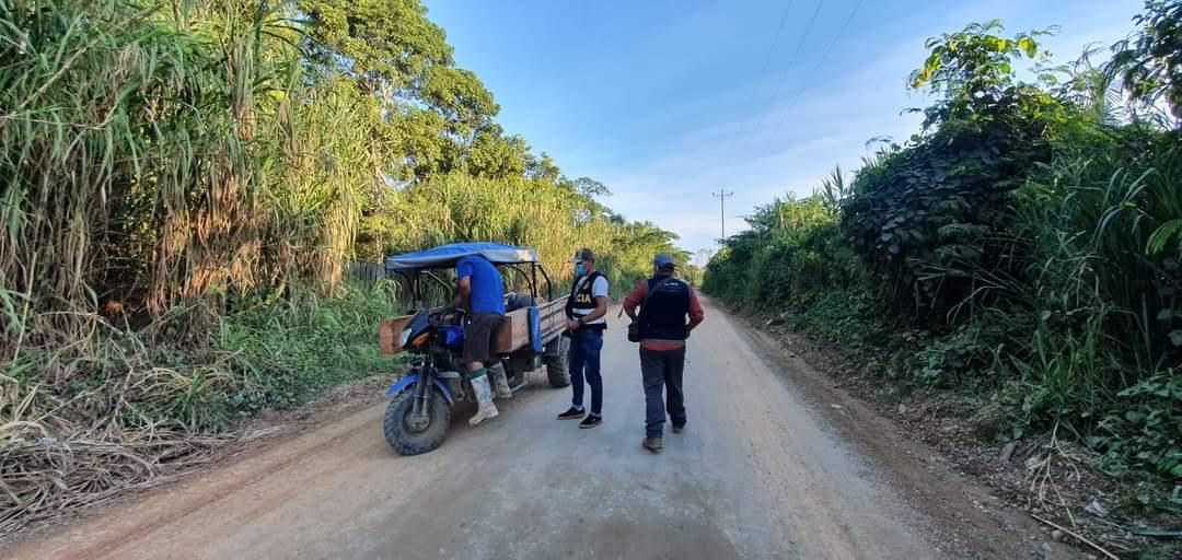 Madre de Dios: Intervienen a dos personas durante operativo contra el tráfico de madera