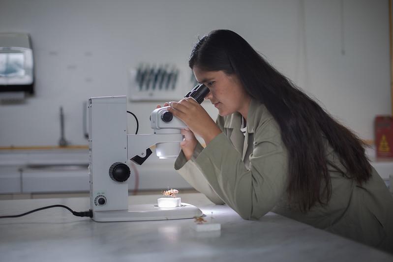 604 escolares de 5.° de secundaria fueron preseleccionadas en el concurso Beca Mujeres en Ciencia