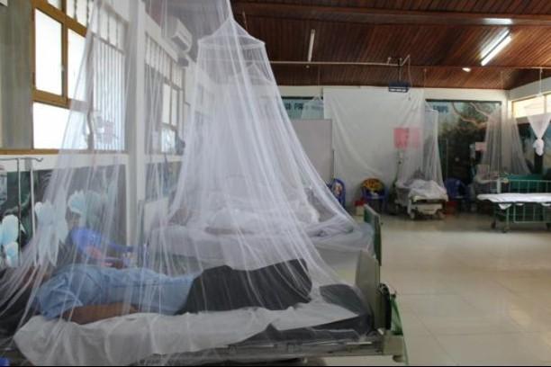 Diresa Madre de Dios confirma tres fallecidos por dengue en diciembre