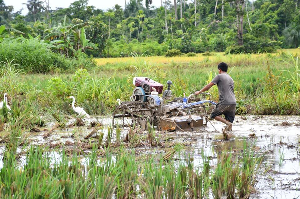 Foto: DRA Madre de Dios.