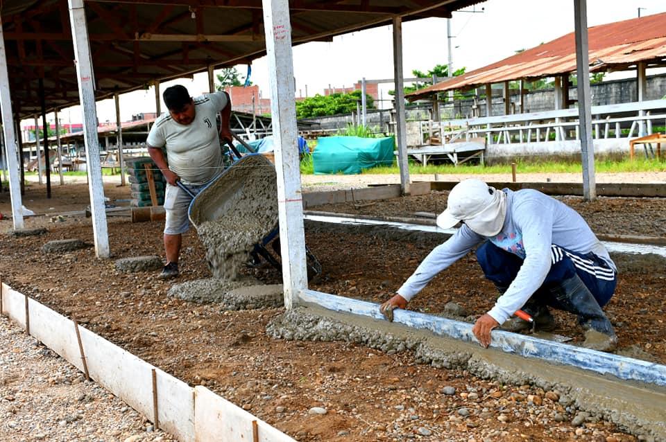 Foto: Agricultura Madre de Dios.