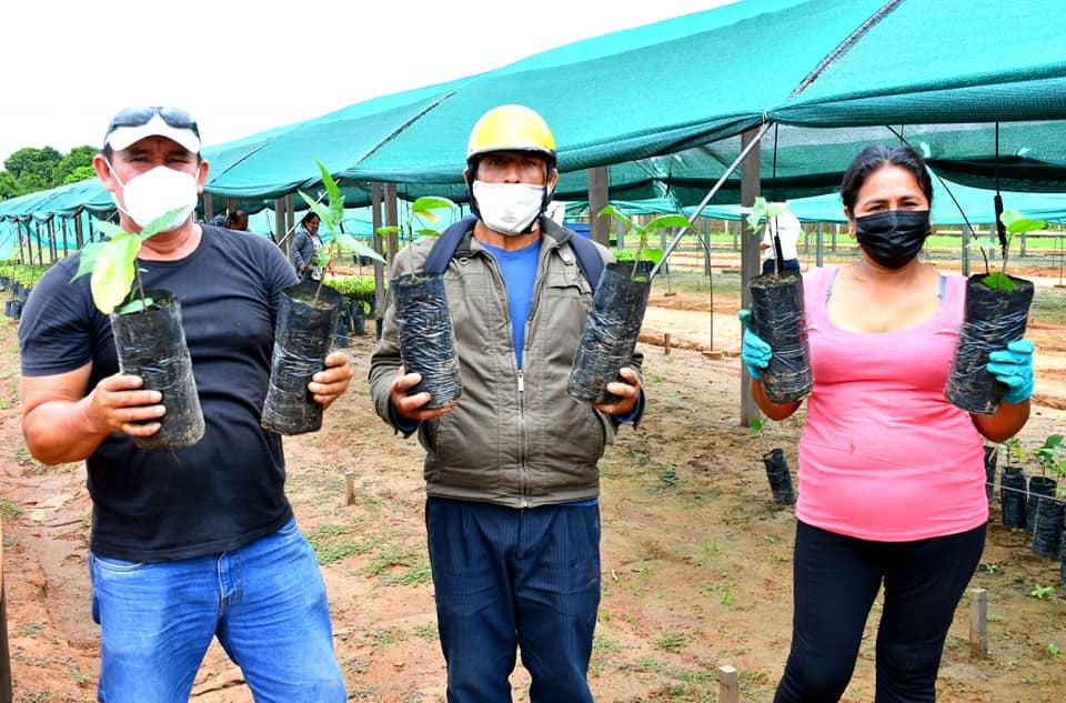 Foto: DRA Madre de Dios,