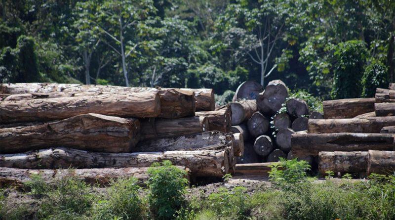 FEMA y USAID lanzan el primer Curso Especializado en Minería Ilegal y Tala Ilegal del Perú para Fiscales