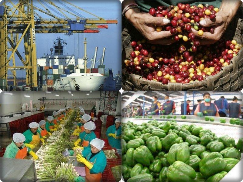 Más de 10 regiones del Perú incrementaron notablemente sus exportaciones en el 2020