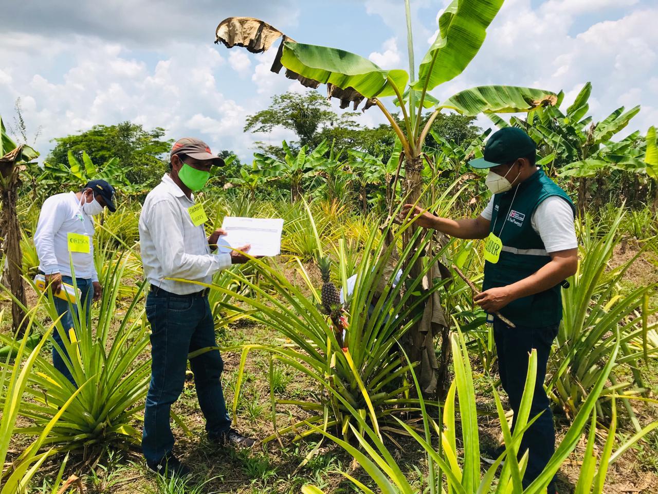 Foto: difusión.