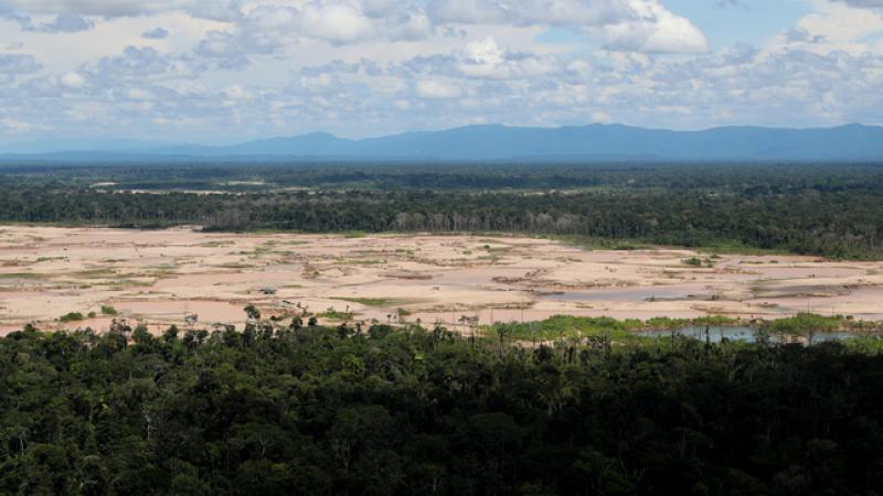 Minam activará este año proyectos contra la deforestación en Madre de Dios