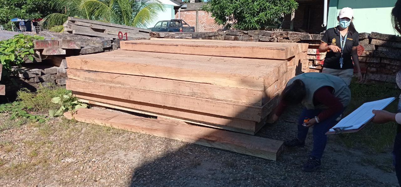 Foto: Gerfor Madre de Dios