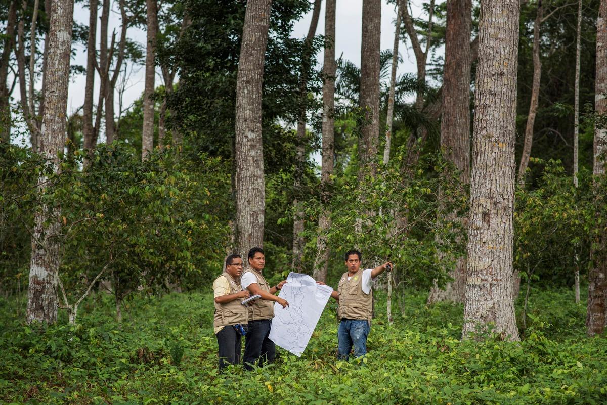 Madre de Dios será parte del programa nacional de conservación de bosques del Minam