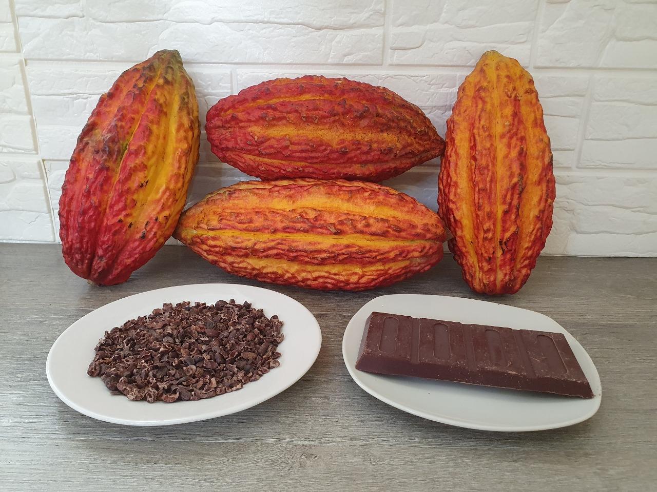 Chocolate para taza de Qali Warma se alista para darle energía a miles de estudiantes de Madre de Dios