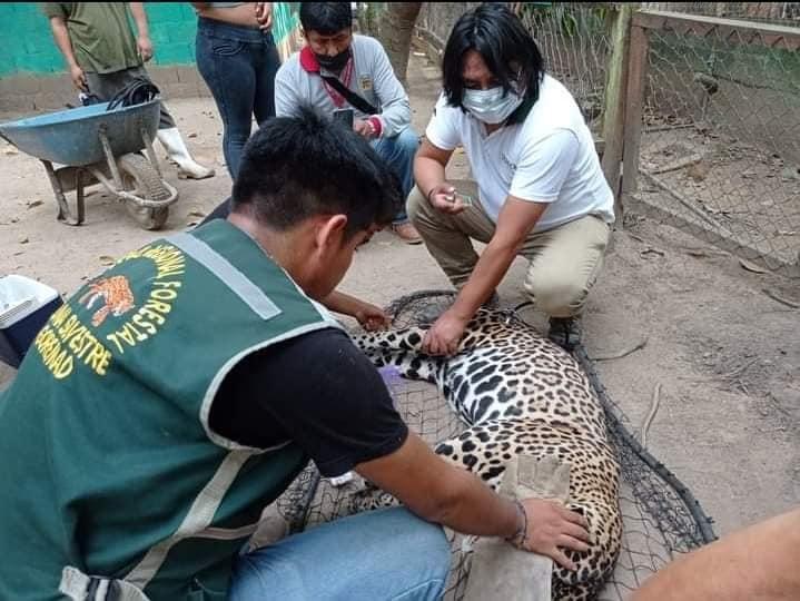 Foto: Gerfor Madre de Dios