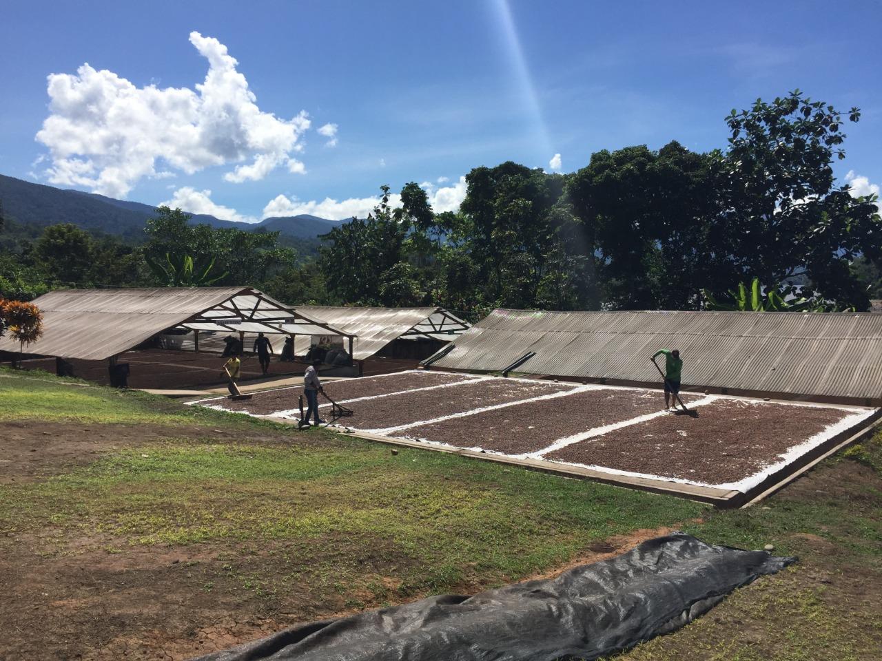 Foto: Difusión