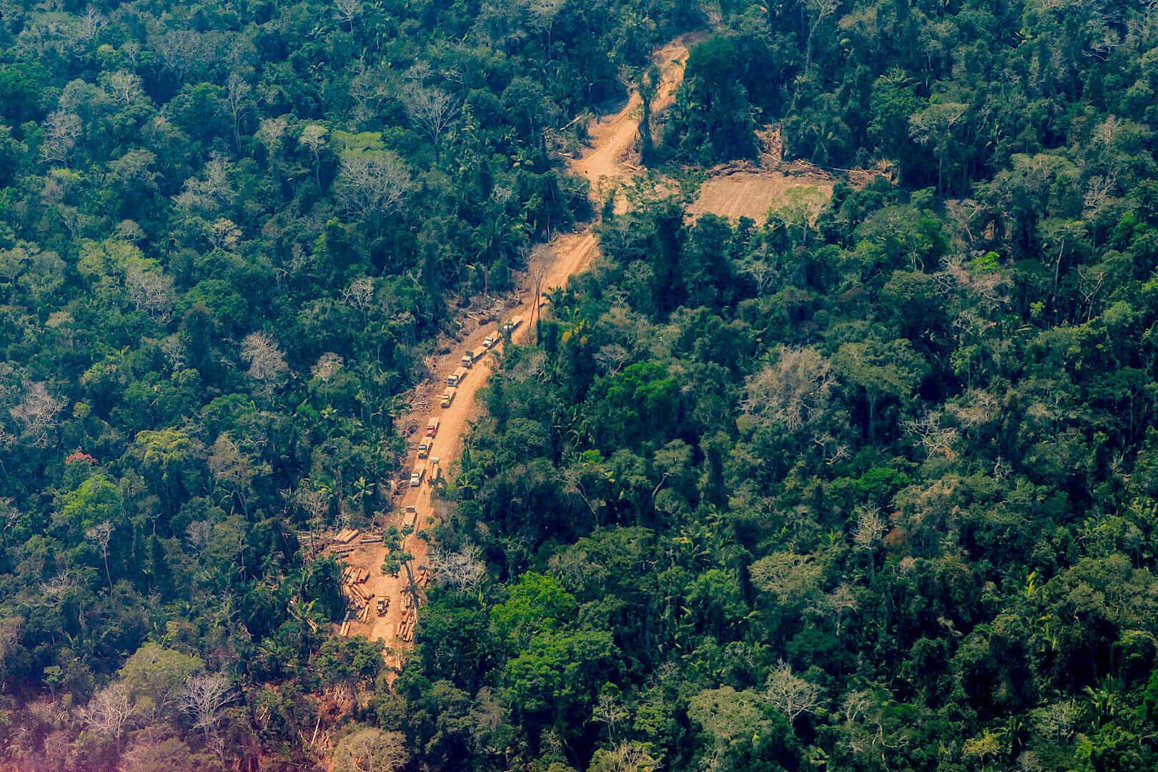 Foto: Difusión