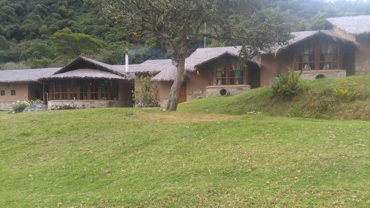 Foto: Difusión