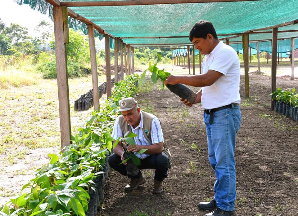 Foto: Gobierno Regional