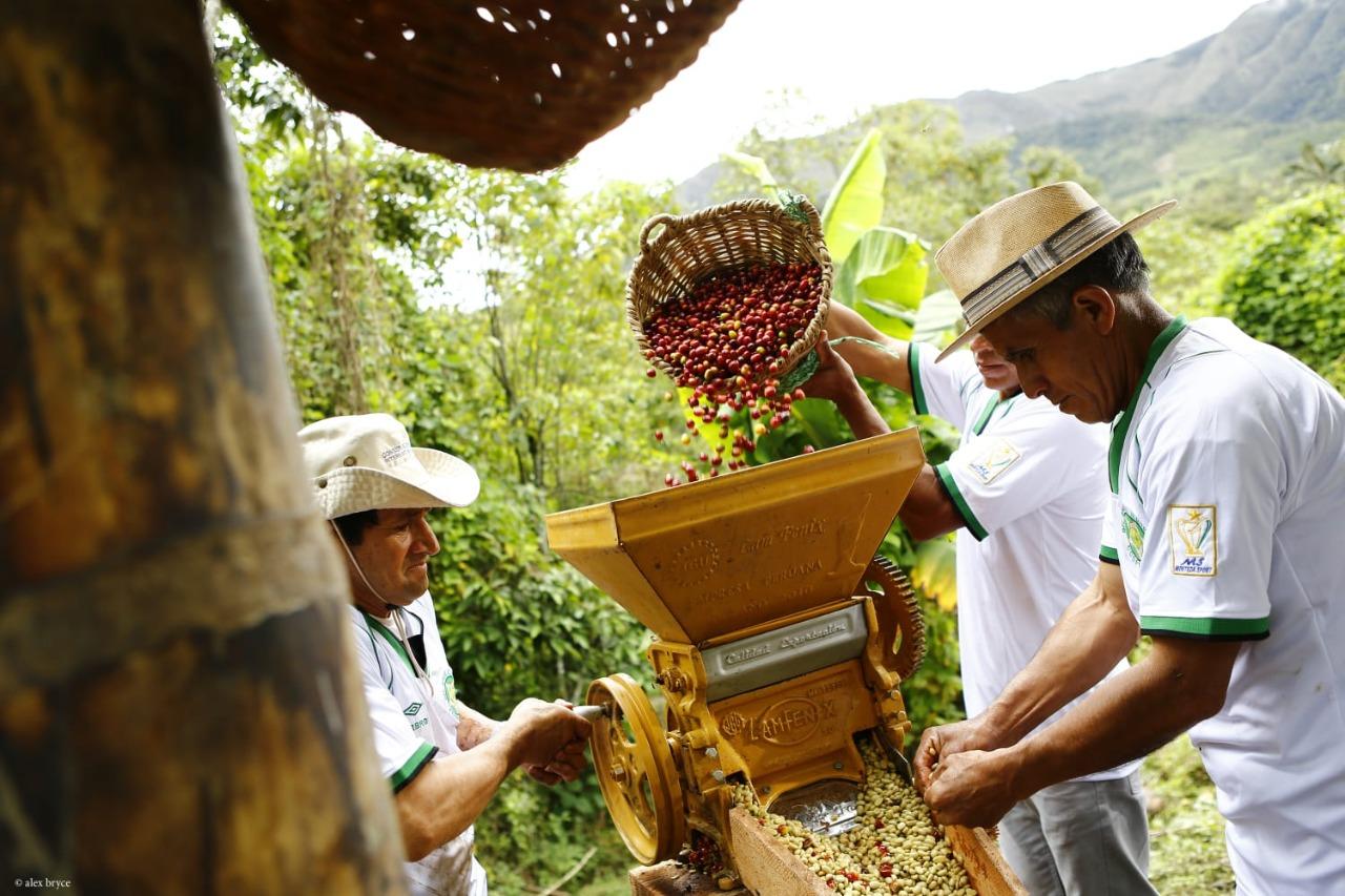 Foto: Difusión