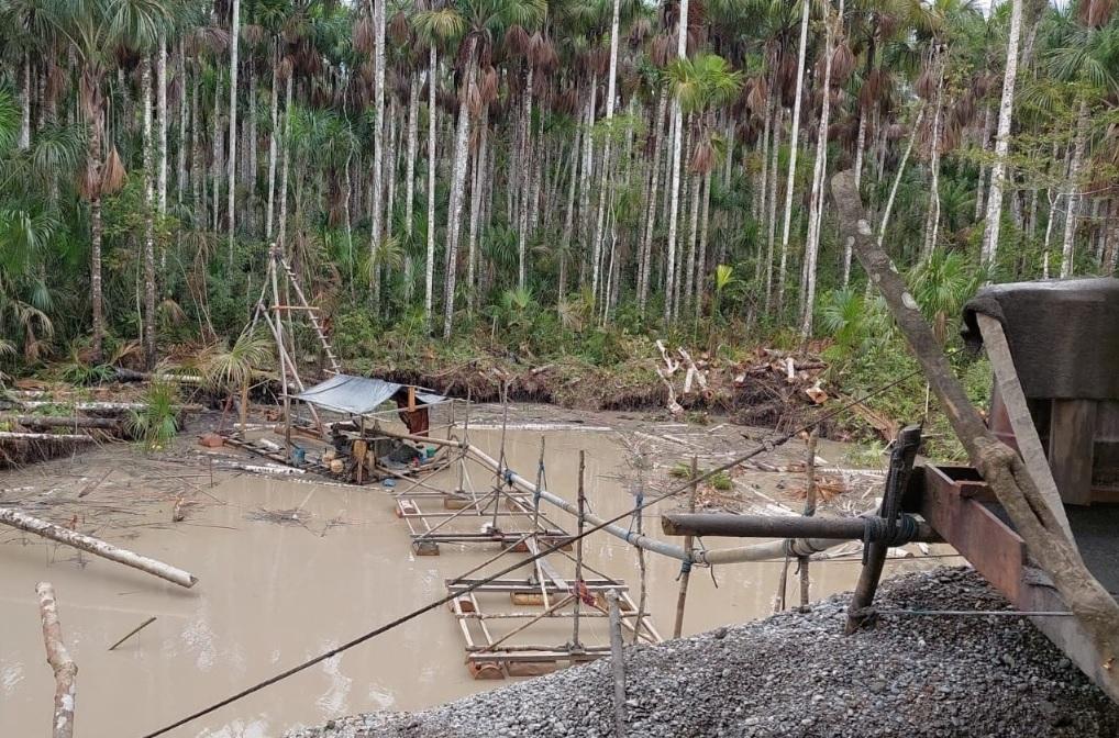 Foto: Fiscalía Especializada en Materia Ambiental