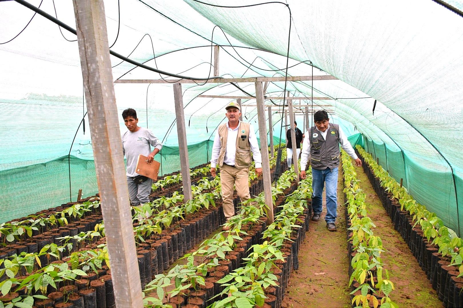 Foto: Dirección Regional Agricultura