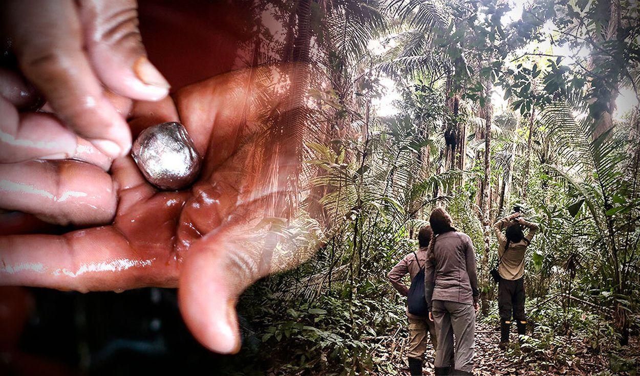 Foto: composición Gerson Cardoso/AFP/Cincia