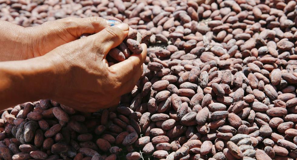 Mincetur: Exportadores de Madre de Dios y otras regiones generan 6 millones de dólares
