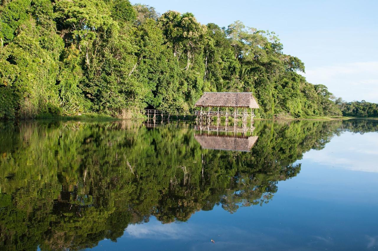 Reserva comunal Amarakaeri. Foto: Andina.