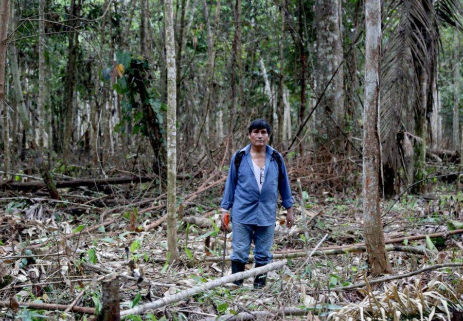 Foto: Mongabay Latam