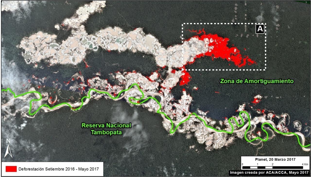 Sector deforestado en los últimos 8 meses. Imagen: Monitoring of the Andean Amazon Project