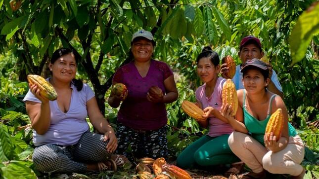 Foto: Gobierno
