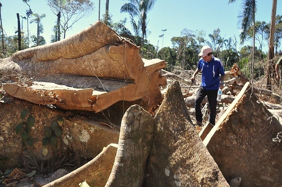 Imagen referencial. Foto: Ministerio Público