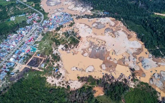 Foto: Actualidad Ambiental