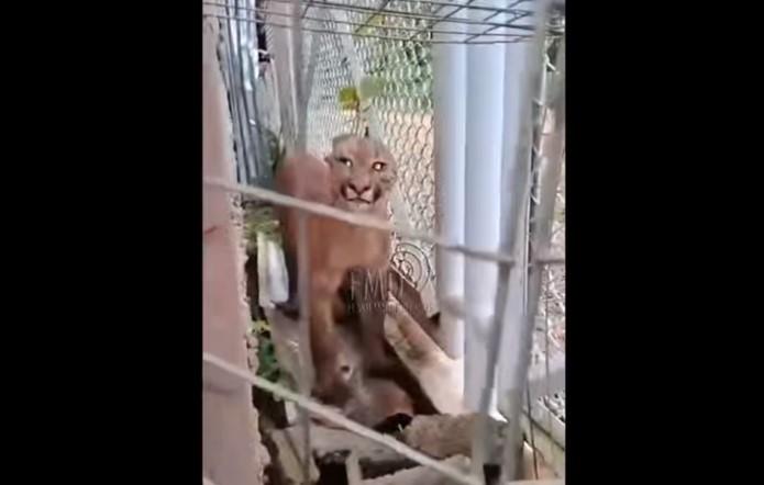 Imagen: Flash Madre de Dios