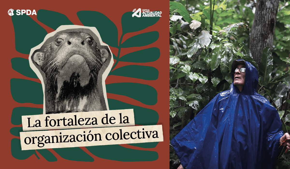 Foto: Actualidad Ambiental.