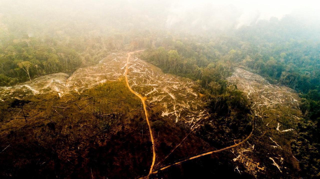 Foto: Difusión.