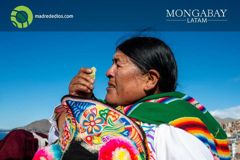 Foto: Mongabay Latam